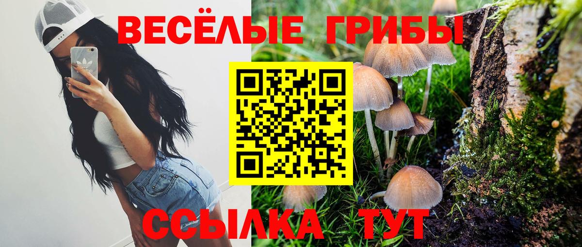 Галлюциногенные грибы Cubensis Кубинка