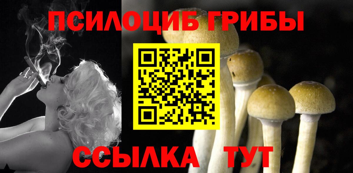 Псилоцибиновые грибы MAGIC MUSHROOMS  Вход с VPN  Кубинка 